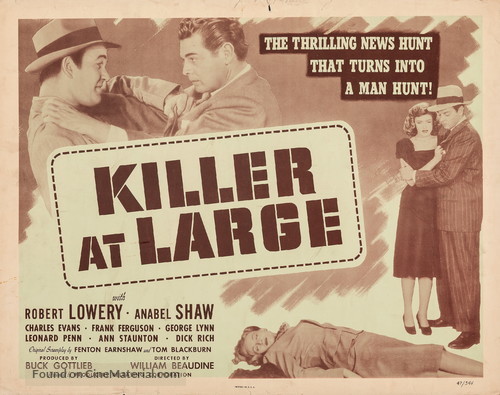 Killer at Large - Movie Poster