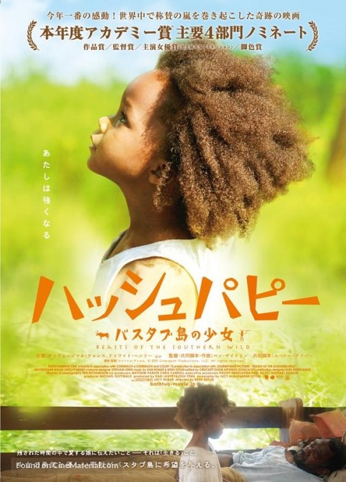 Beasts of the Southern Wild - Japanese Movie Poster