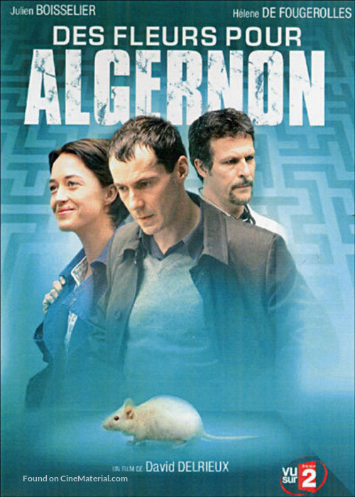 Des fleurs pour Algernon - French Movie Cover