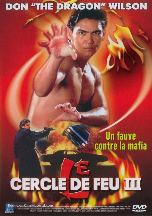 Lion Strike - French DVD movie cover