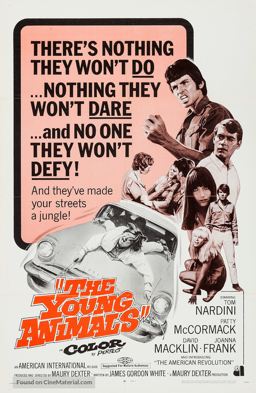 The Young Animals - Movie Poster