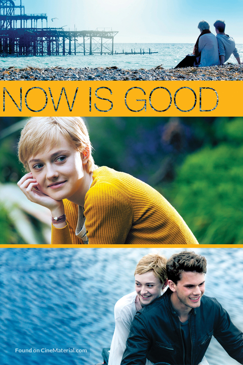 Now Is Good - DVD movie cover