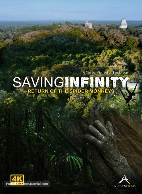 Saving Infinity: Return of the Spider Monkeys - Dutch Movie Poster