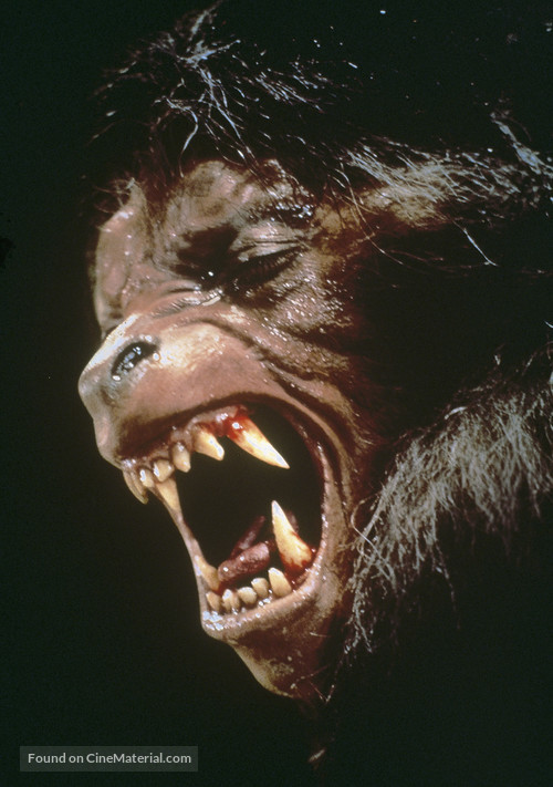 An American Werewolf in London - Key art