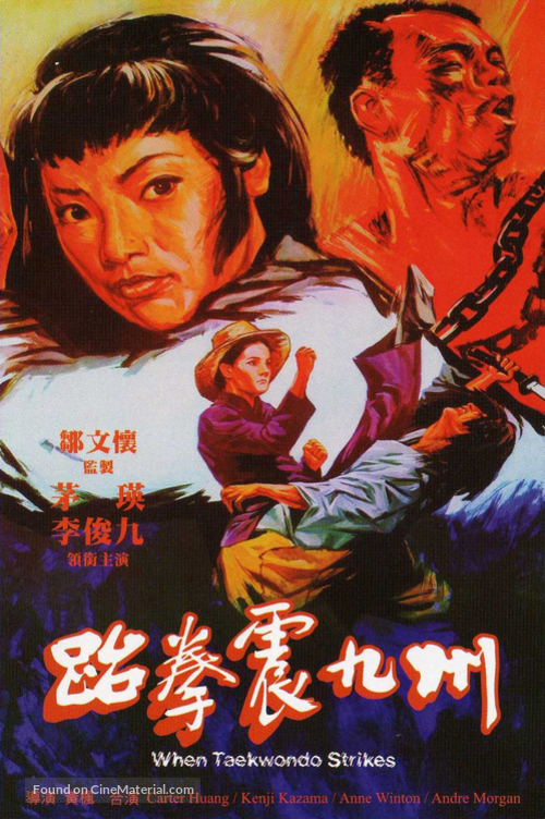 Tai quan zhen jiu zhou - Hong Kong Movie Poster