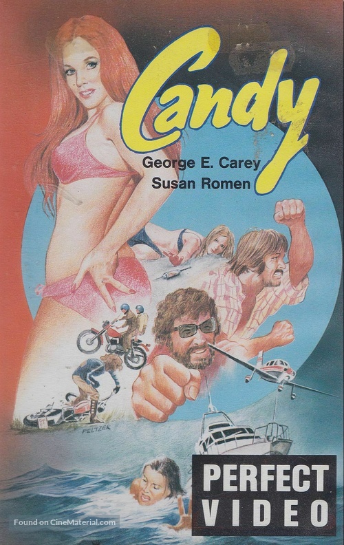 Weekend with the Babysitter - German VHS movie cover