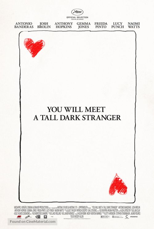 You Will Meet a Tall Dark Stranger - Movie Poster