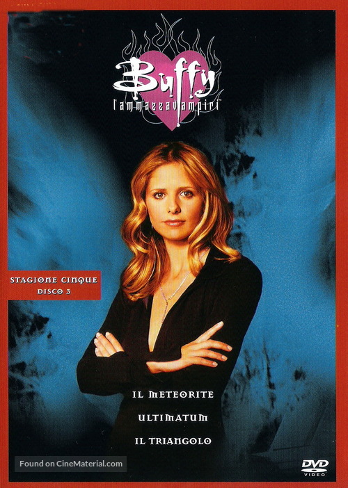 &quot;Buffy the Vampire Slayer&quot; - Italian DVD movie cover
