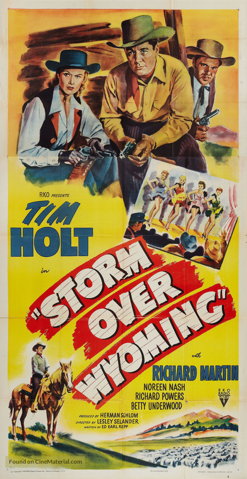 Storm Over Wyoming - Movie Poster