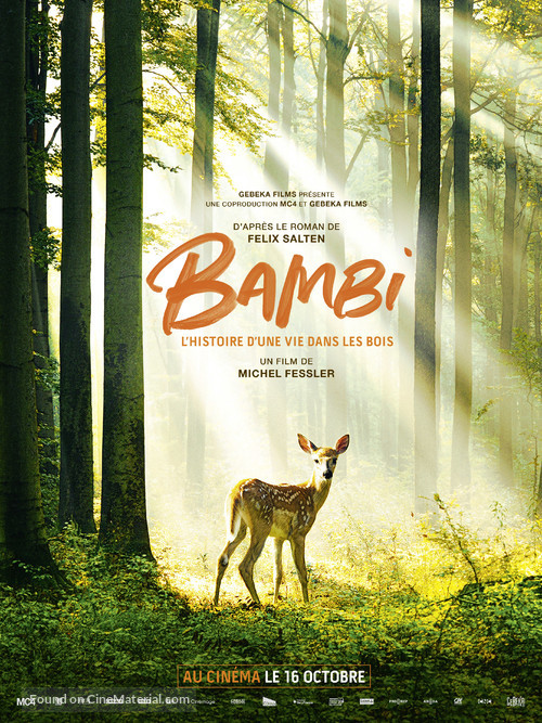 Bambi, L&#039;histoire d&#039;une vie dans les bois - French Movie Poster