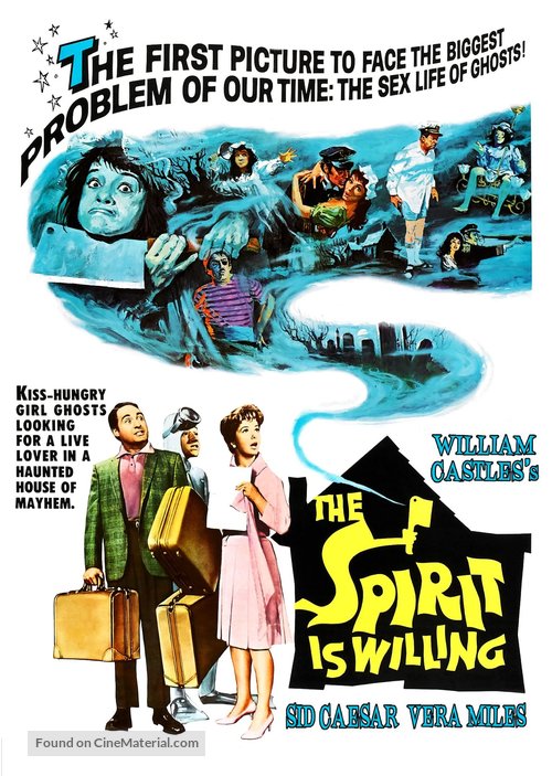 The Spirit Is Willing - DVD movie cover