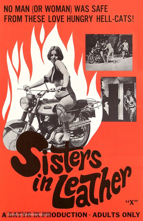 Sisters in Leather - Movie Poster
