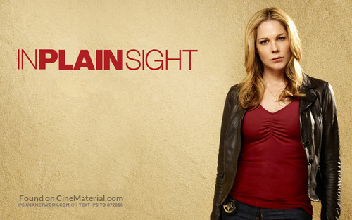 &quot;In Plain Sight&quot; - Movie Poster