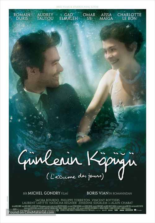 L&#039;&eacute;cume des jours - Turkish Movie Poster