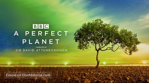 &quot;A Perfect Planet&quot; - British Movie Poster