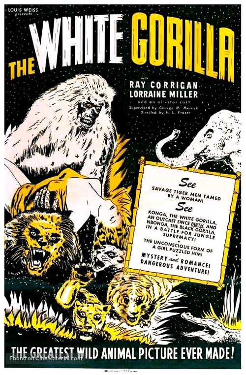 The White Gorilla - Movie Poster
