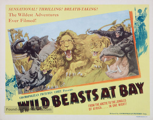 Wild Beasts at Bay - Movie Poster