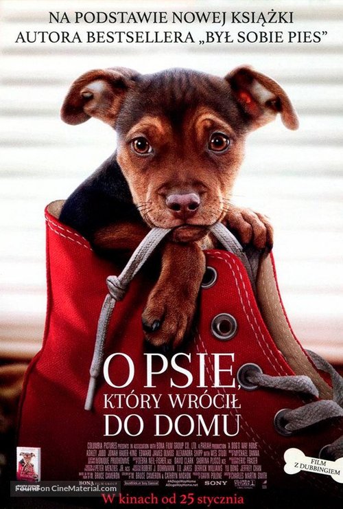 A Dog&#039;s Way Home - Polish Movie Poster