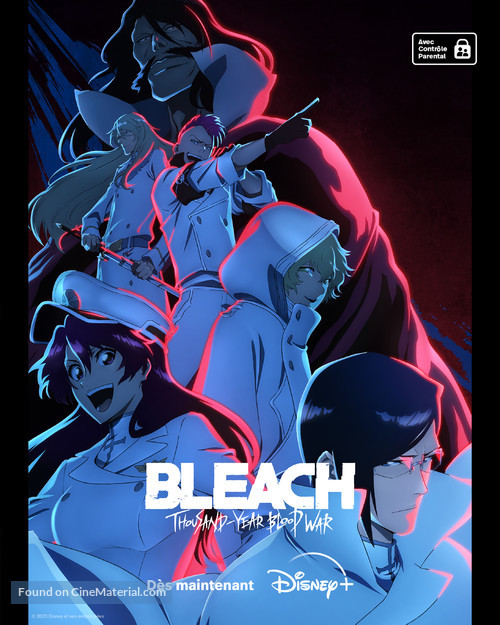 &quot;Bleach: Thousand-Year Blood War&quot; - French Movie Poster