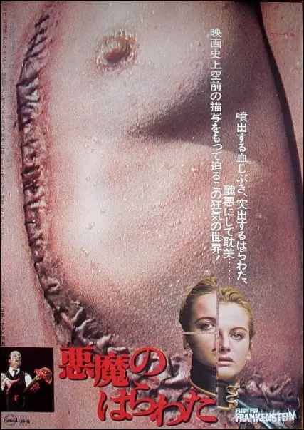 Flesh For Frankenstein 1973 Japanese Movie Poster