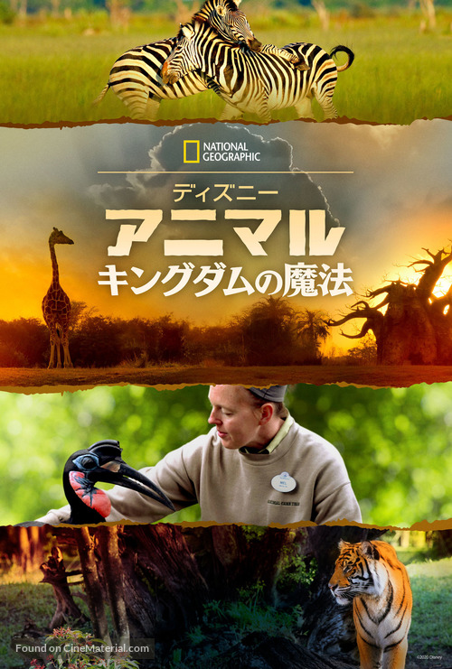 &quot;Magic of Disney&#039;s Animal Kingdom&quot; - Japanese Video on demand movie cover