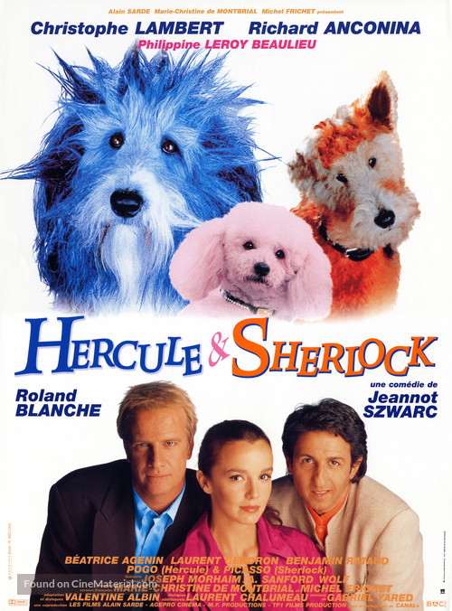 Hercule et Sherlock - French Movie Poster