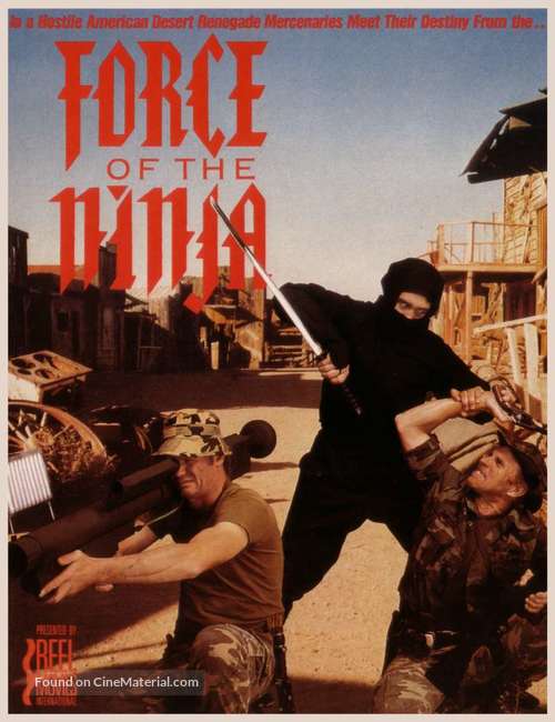 Force of the Ninja - French DVD movie cover