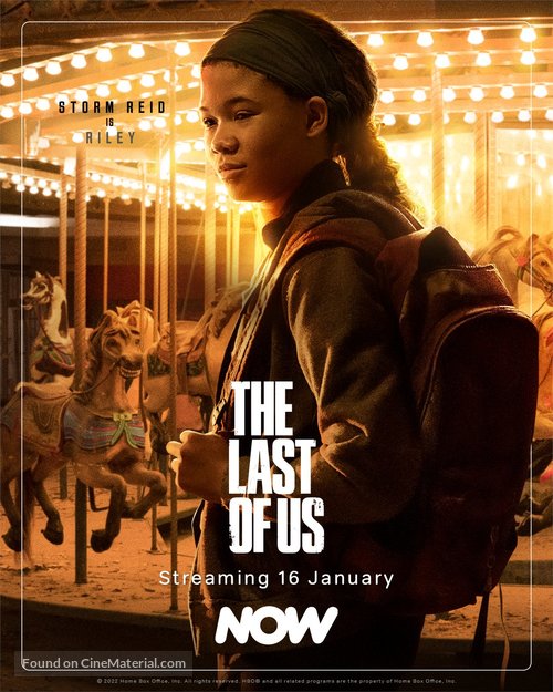 &quot;The Last of Us&quot; - Irish Movie Poster