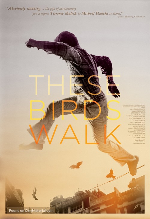 These Birds Walk - Movie Poster