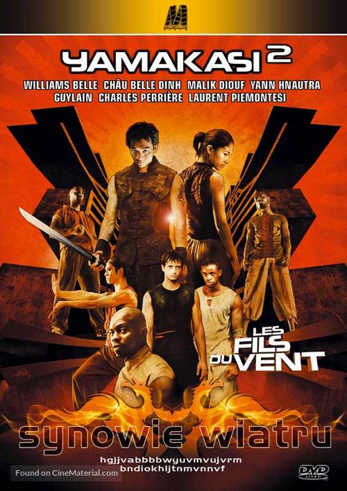 Les fils du vent - Polish DVD movie cover