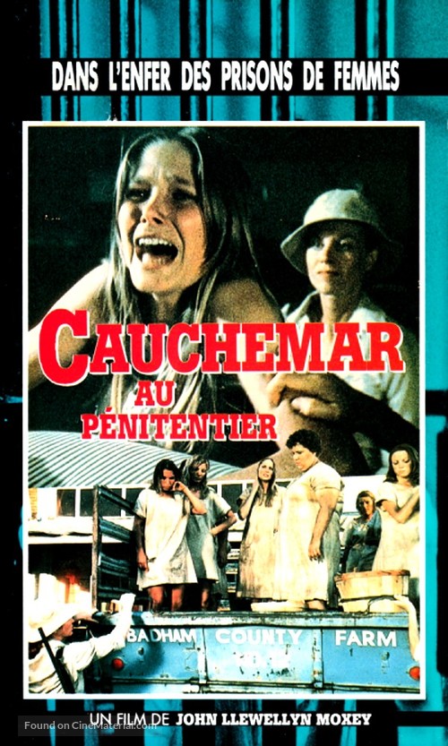 Nightmare in Badham County - French VHS movie cover