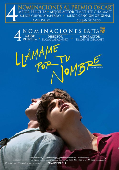 Call Me by Your Name - Mexican Movie Poster