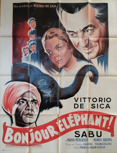 Buongiorno, elefante! - French Movie Poster