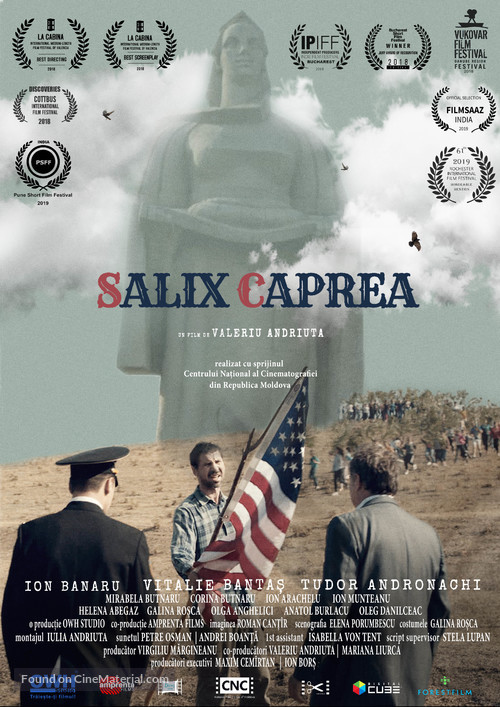 Salix Caprea - International Movie Poster