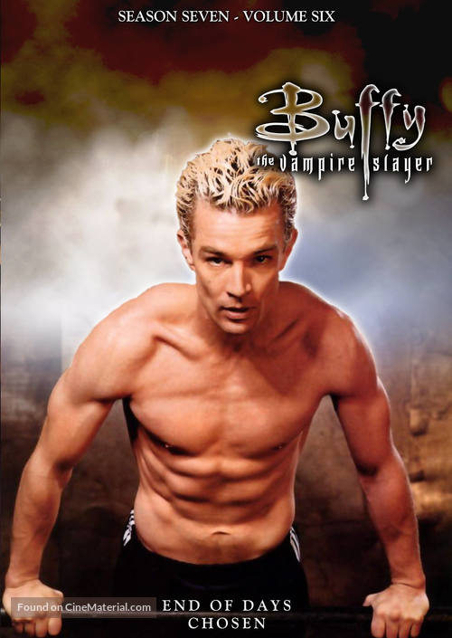 &quot;Buffy the Vampire Slayer&quot; - DVD movie cover