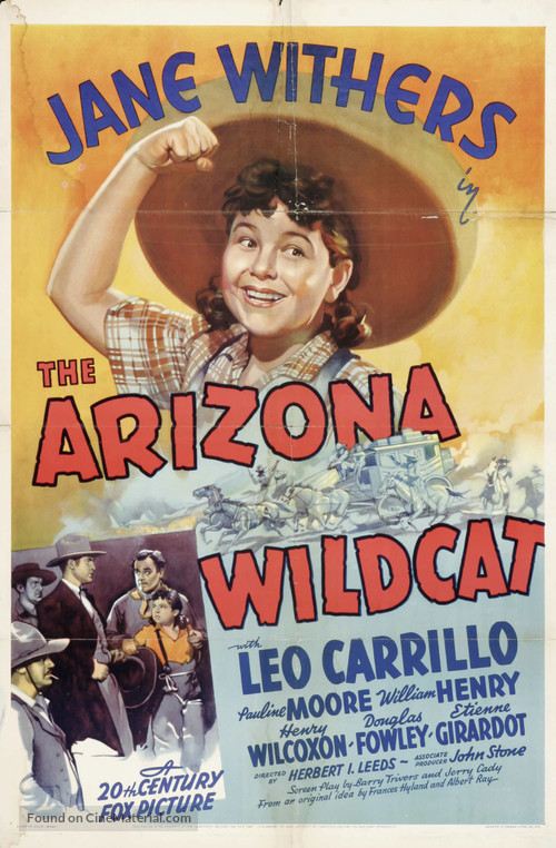 The Arizona Wildcat - Movie Poster