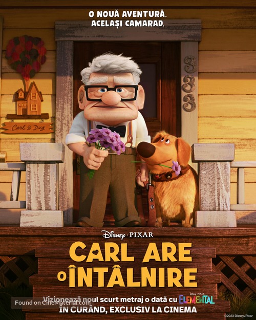 Carl&#039;s Date - Romanian Movie Poster