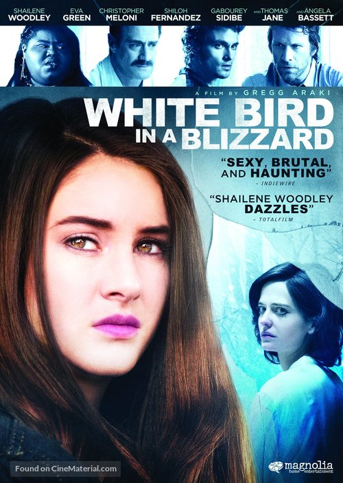 White Bird in a Blizzard - DVD movie cover
