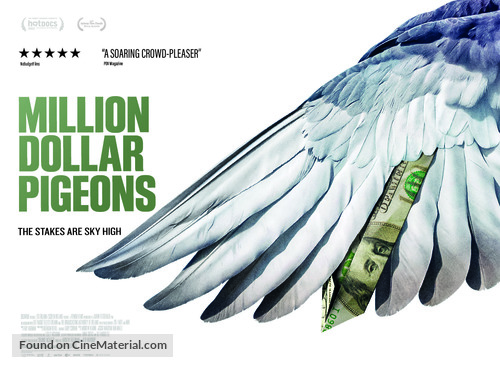 Million Dollar Pigeons - Irish Movie Poster