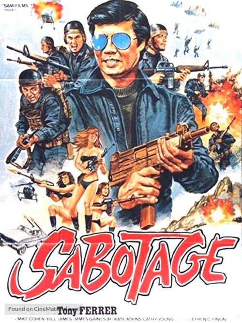 Last Target - French Movie Poster