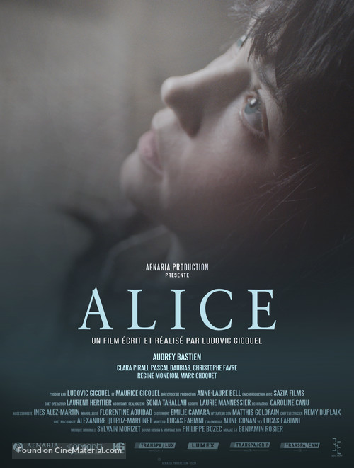 Alice - French Movie Poster