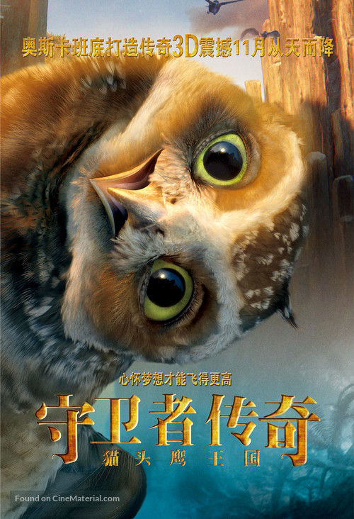 Legend of the Guardians: The Owls of Ga&#039;Hoole - Chinese Movie Poster
