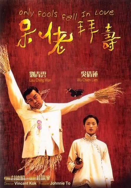 Daai lou baai sau - Hong Kong DVD movie cover