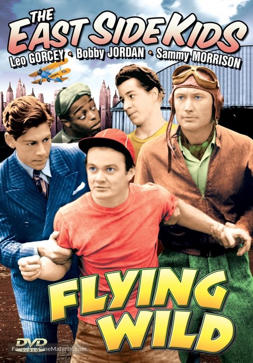 Flying Wild - DVD movie cover