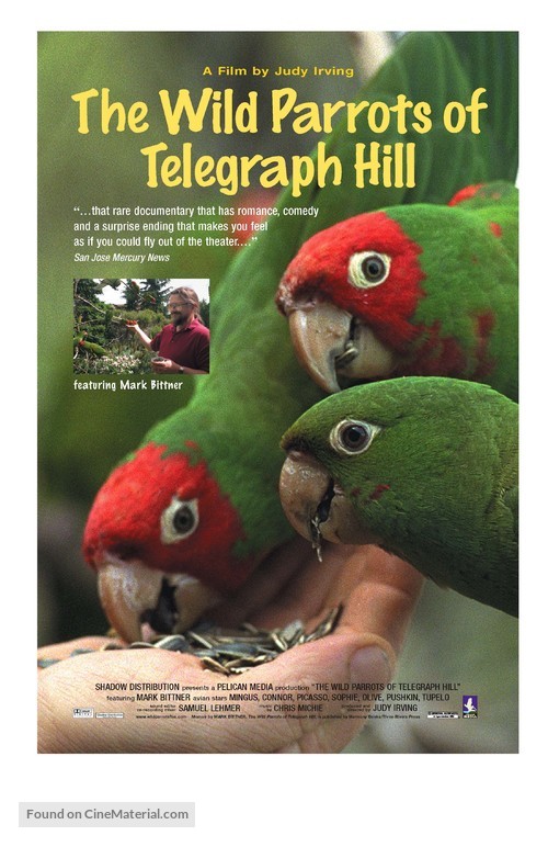 The Wild Parrots of Telegraph Hill - Movie Poster