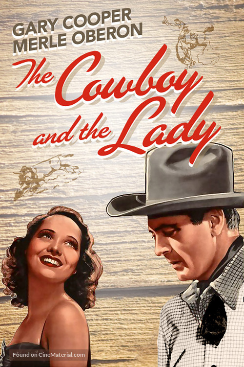 The Cowboy and the Lady - DVD movie cover