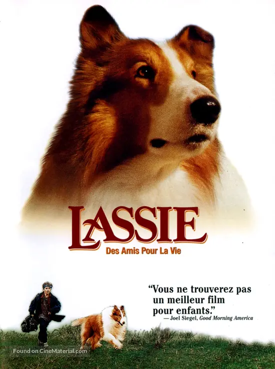 Lassie (1994) French dvd movie cover