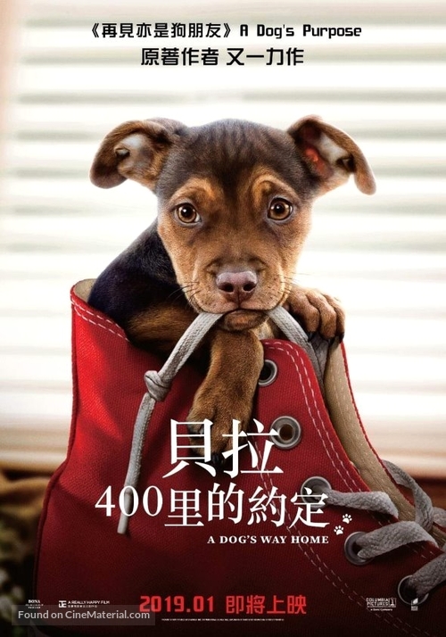 A Dog&#039;s Way Home - Hong Kong Movie Poster