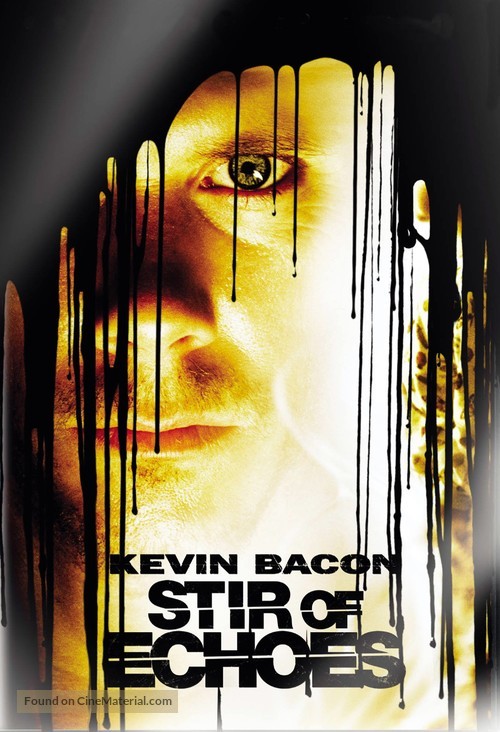 Stir of Echoes - DVD movie cover