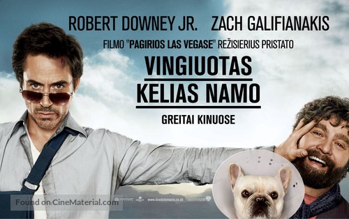 Due Date - Lithuanian Movie Poster